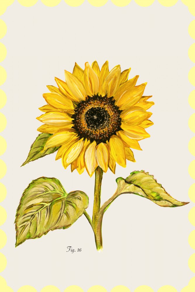 Golden Sunflower Botanical door cartissi