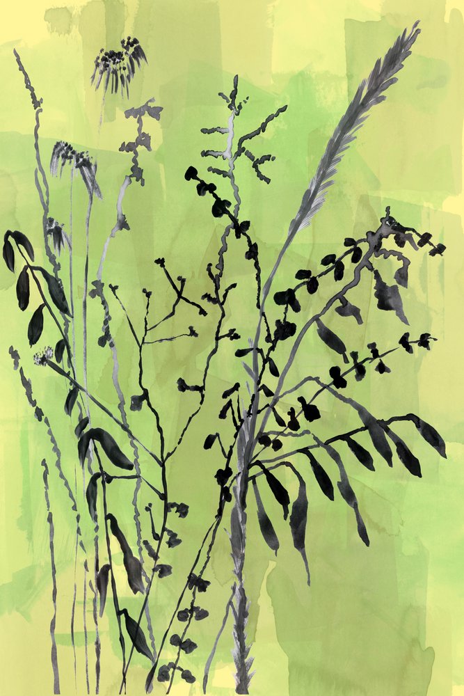 Groene botanische silhouetten door cartissi