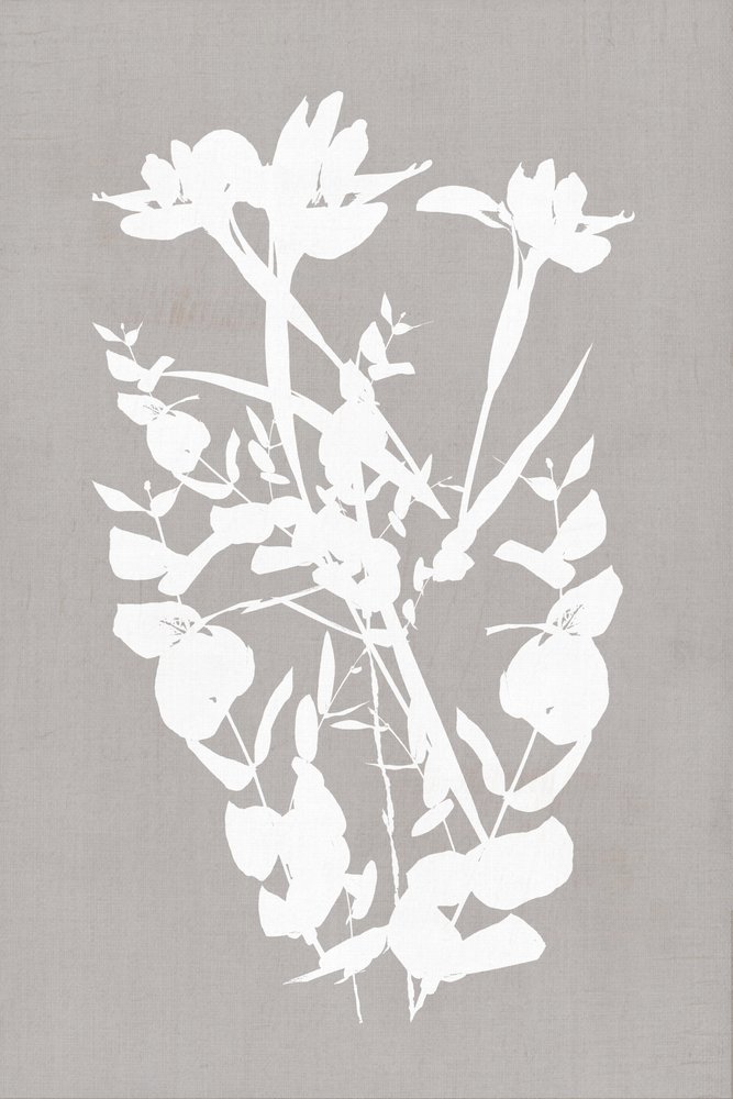 Moderne botanische silhouetten door cartissi