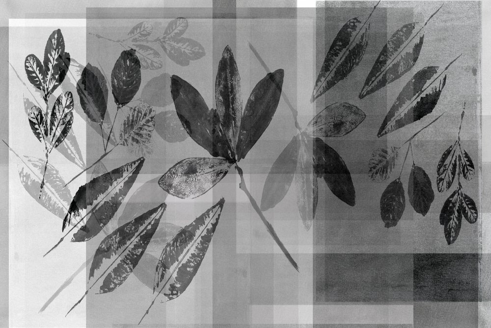 Monochrome botanische lagen door cartissi