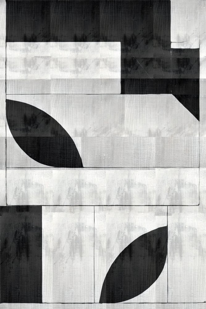 Monochrome organische vormen door cartissi