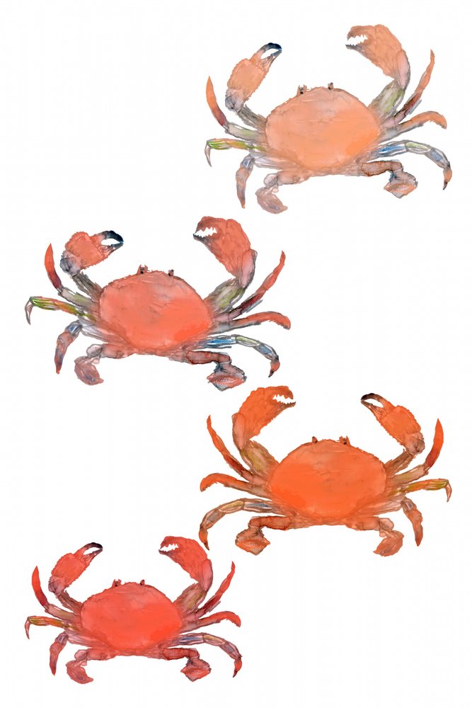 Zeevruchten Krabben Aquarel door cartissi