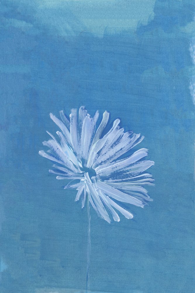 Serene Blue Bloom door cartissi