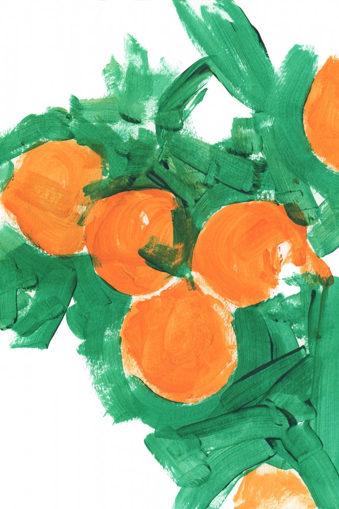 Een kleurrijke citrusoogst door cartissi