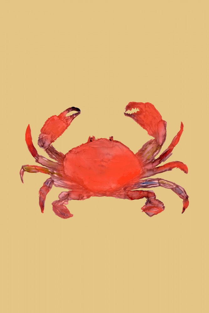 Levendig rode krab door cartissi