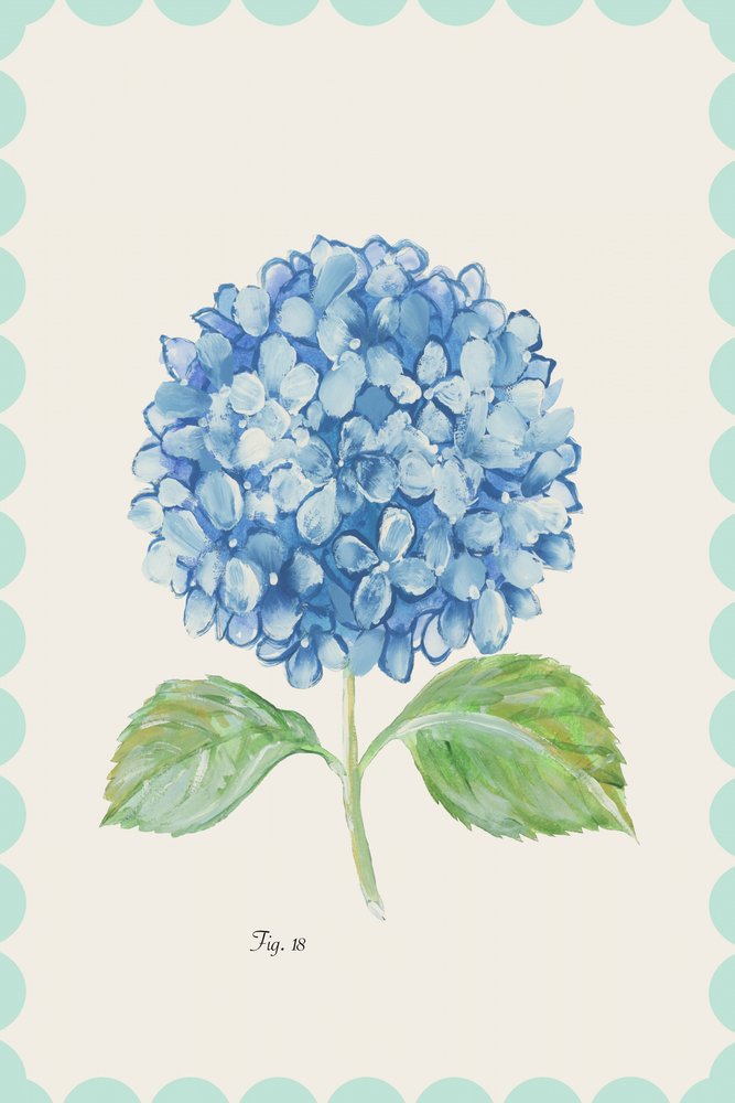 Vintage blauwe hortensiabloem door cartissi