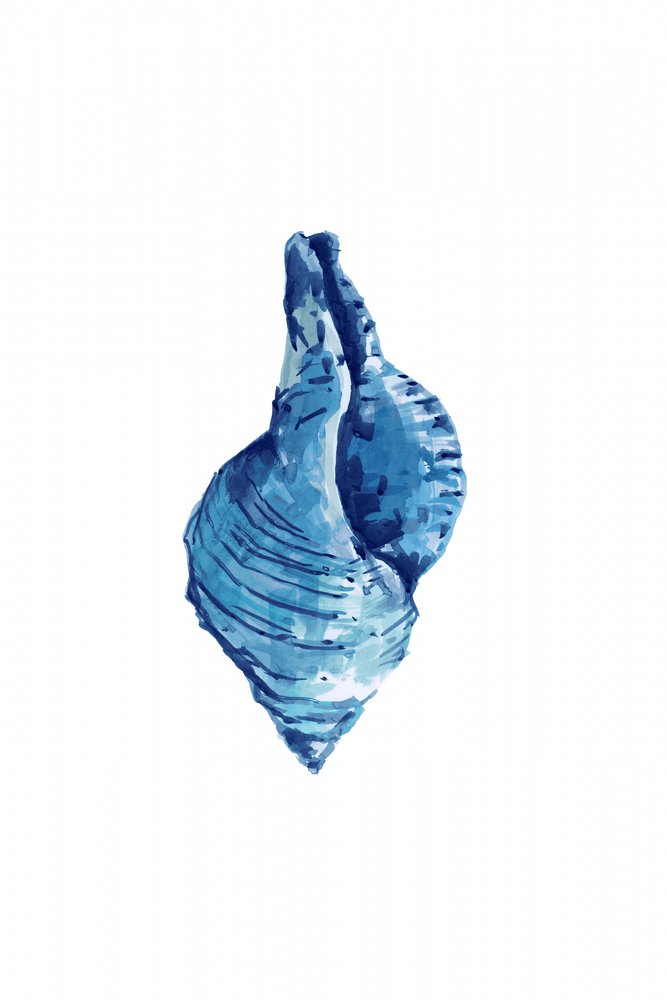 Aquarel Blauwe Schelp door cartissi