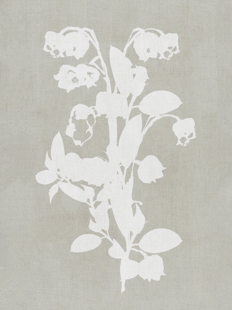 Witte botanische bloemen door cartissi
