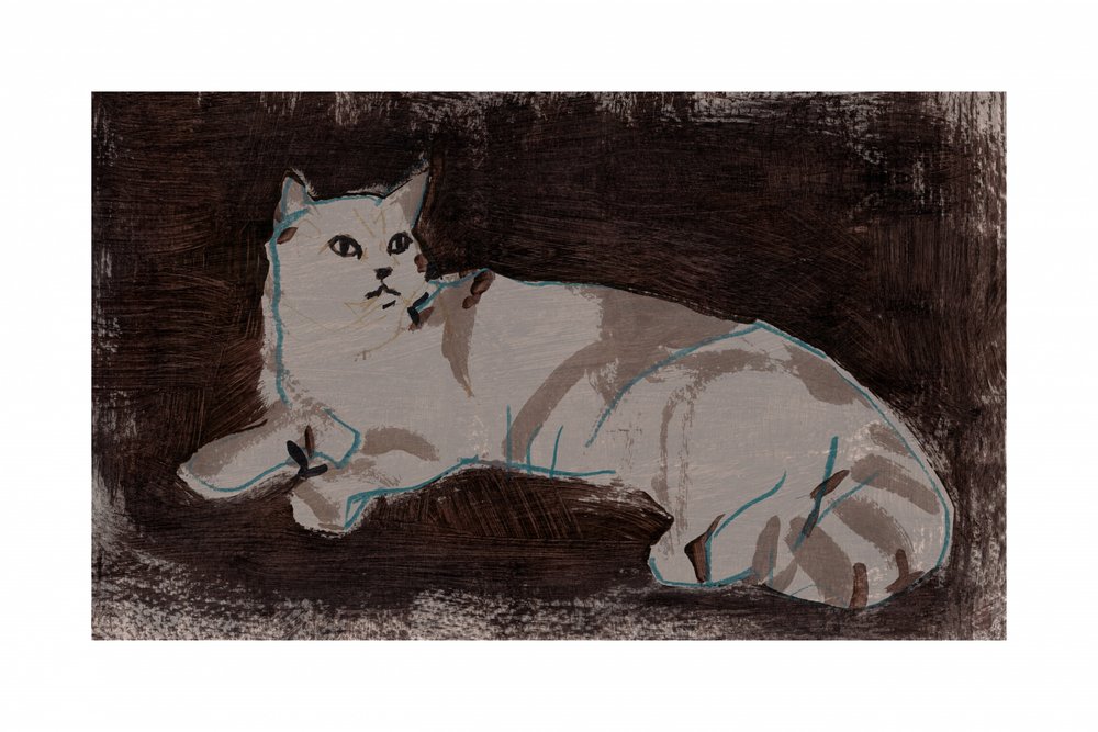 Rustende witte kat door cartissi