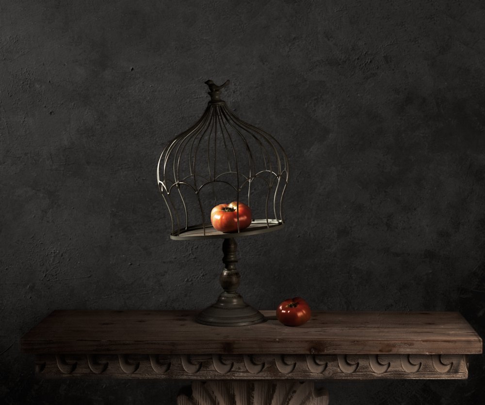  door chenyi wang