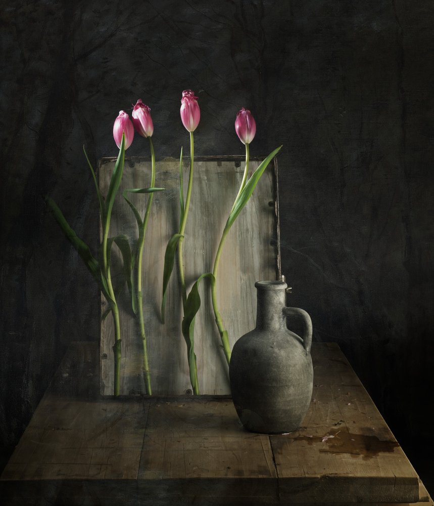  door chenyi wang
