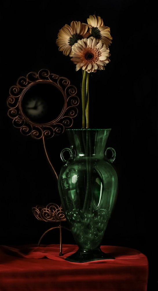 Gerbera-stilleven door jlloydphoto