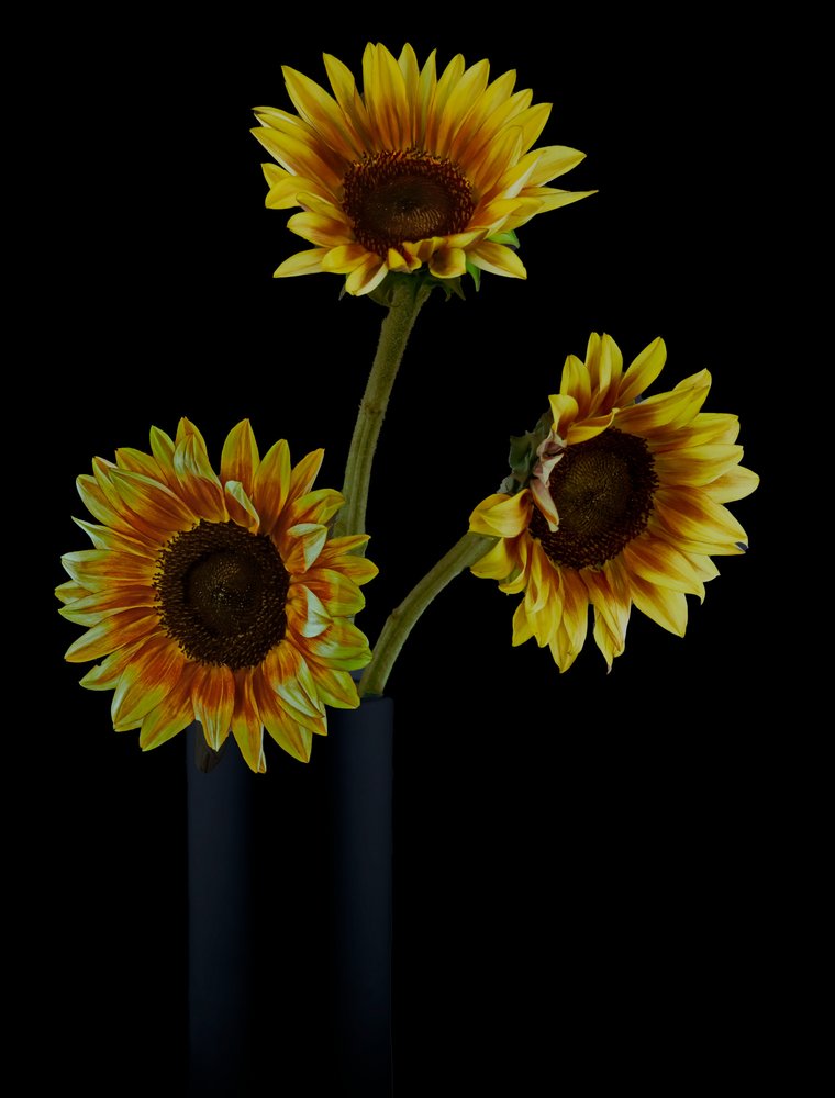 Bloemstuk met gouden zonnebloemen door jlloydphoto