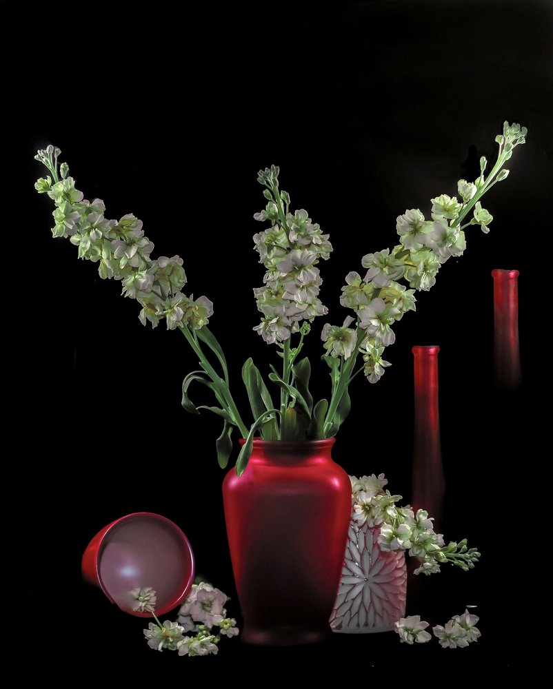 Groene bloemen in rode vazen door jlloydphoto