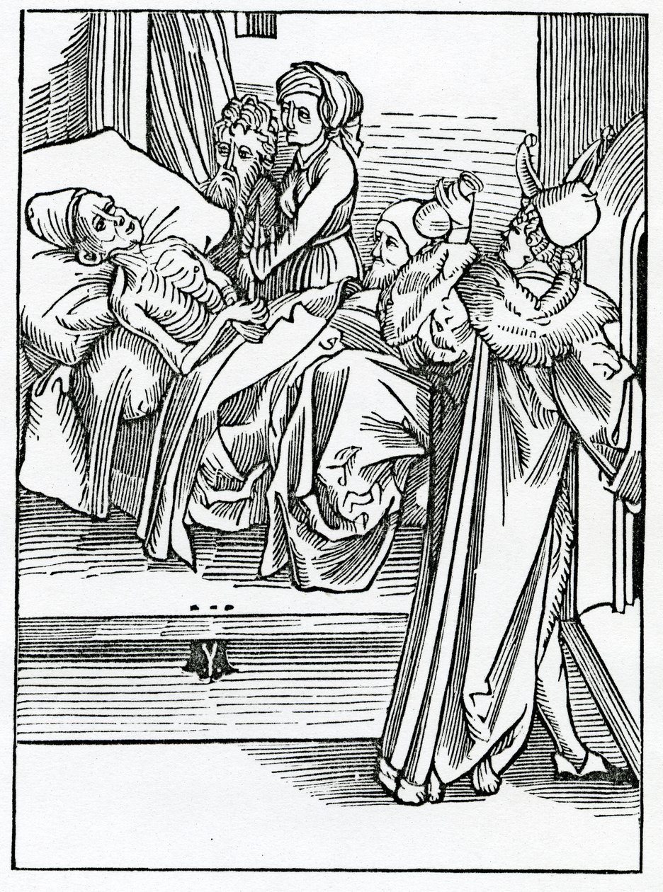 Van dwaze artsen en ongeleerden die alleen de praktijk volgen zonder kennis van de theorie van hun vak, illustratie uit Alexander Barclay