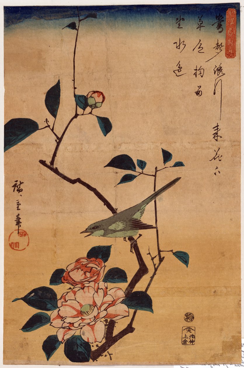 Tsubaki ni Uguisu (Camellia en Boszanger) door Utagawa Hiroshige