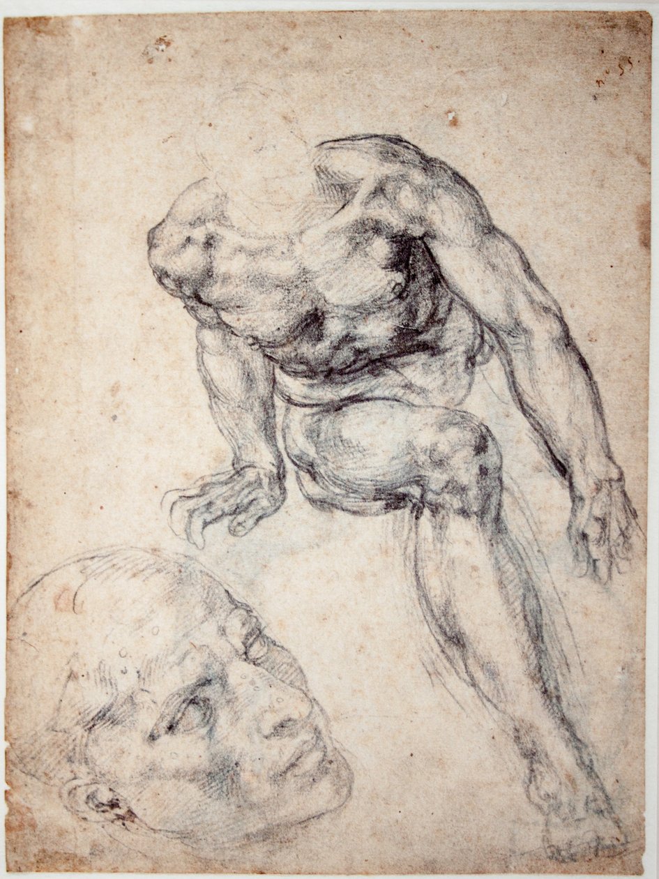 Studie van een mannelijk naakt, aparte studie van zijn hoofd door Michelangelo Buonarroti