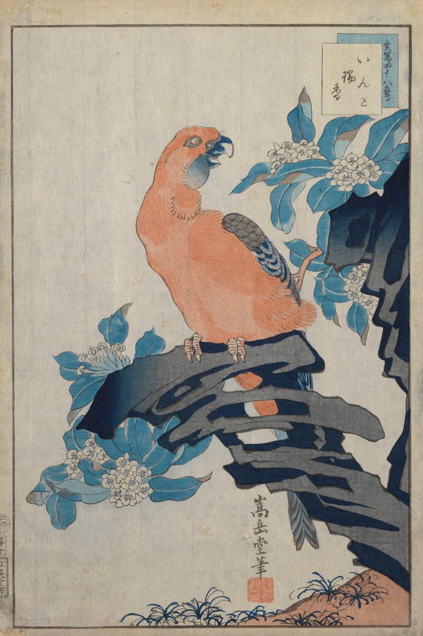 Zonder titel door Nakayama Sugakudo
