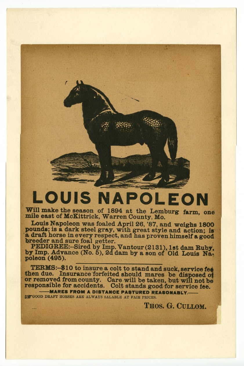 Broadsheet die trekpaard Louis Napoleon adverteert voor dienst, 1894 door Unknown