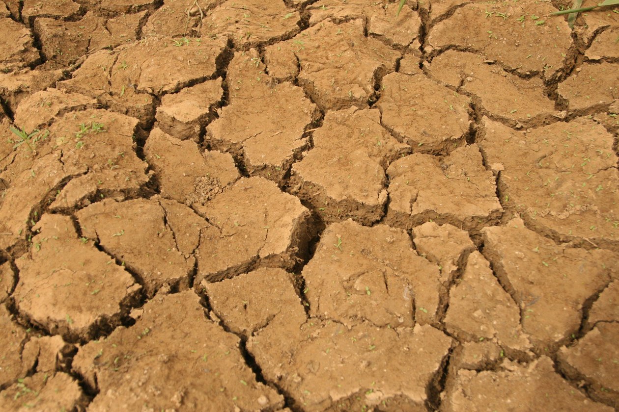 Gebarsten grond op een akker tijdens het droge seizoen. Lagos, Nigeria. 1 februari 2008. door Unknown