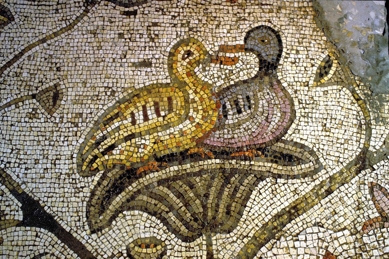 Detail van het Tabgha-mozaïek door Unknown