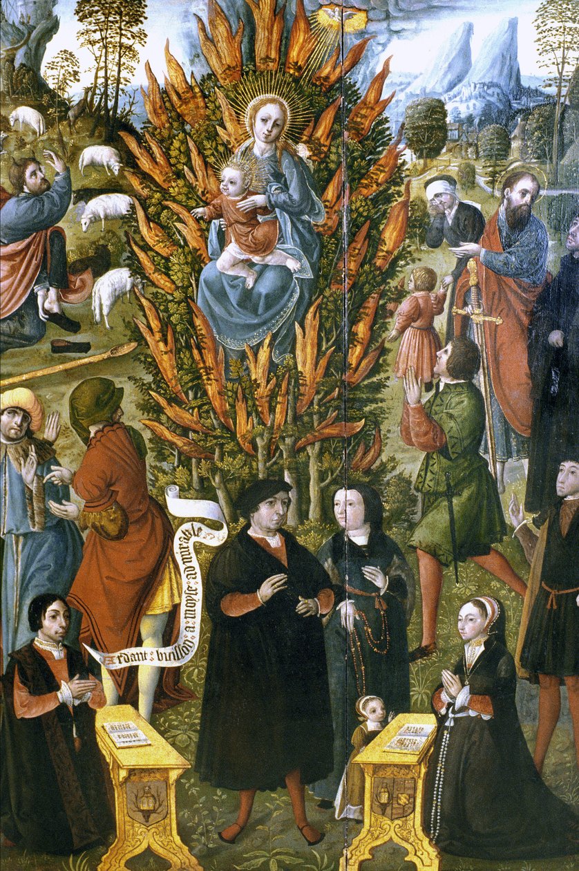 Frankrijk - Somme - departement 80 - Abbeville - DR Musee Boucher de Perthes - de Maagd met de brandende struik, in opdracht van Jean de Cermoise tussen 1526 en 1531 door Unknown