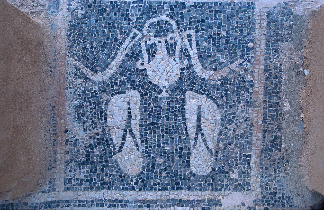 Mozaïek uit de thermale baden door Unknown