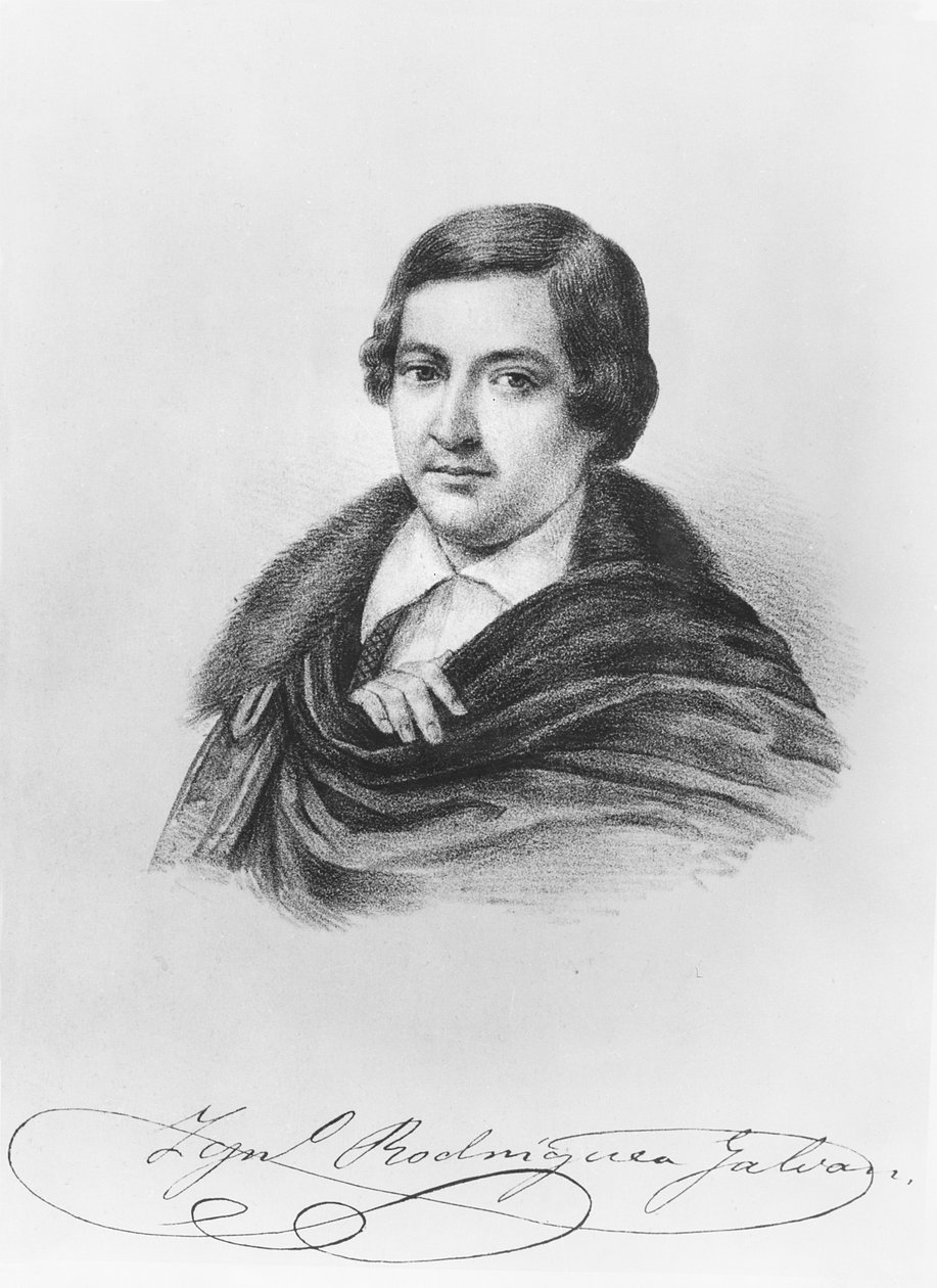Ignacio Rodríguez Galván door French School