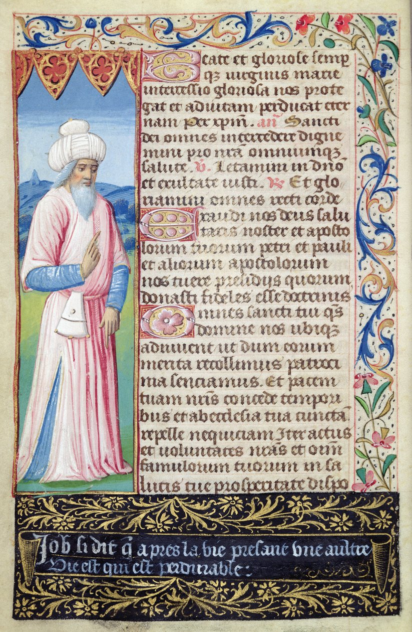 Job, uit Heures a lUsage de Rome door French School