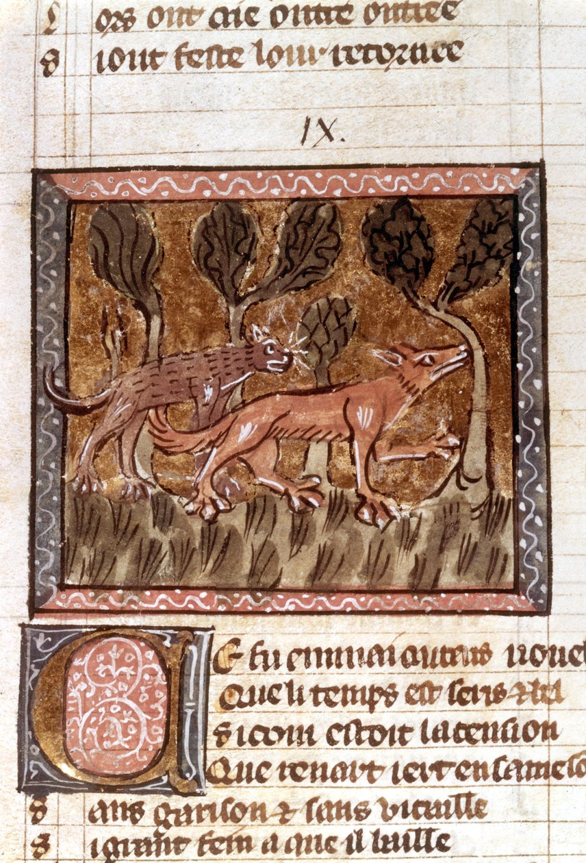 De vos en de wolf, verluchting uit het manuscript getiteld Roman de Renart (De Roman van de Vos), ca. 13e eeuw door French School