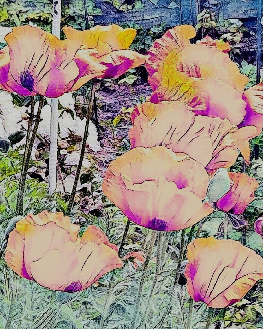 Klaprozen. door Margareta Uliarte