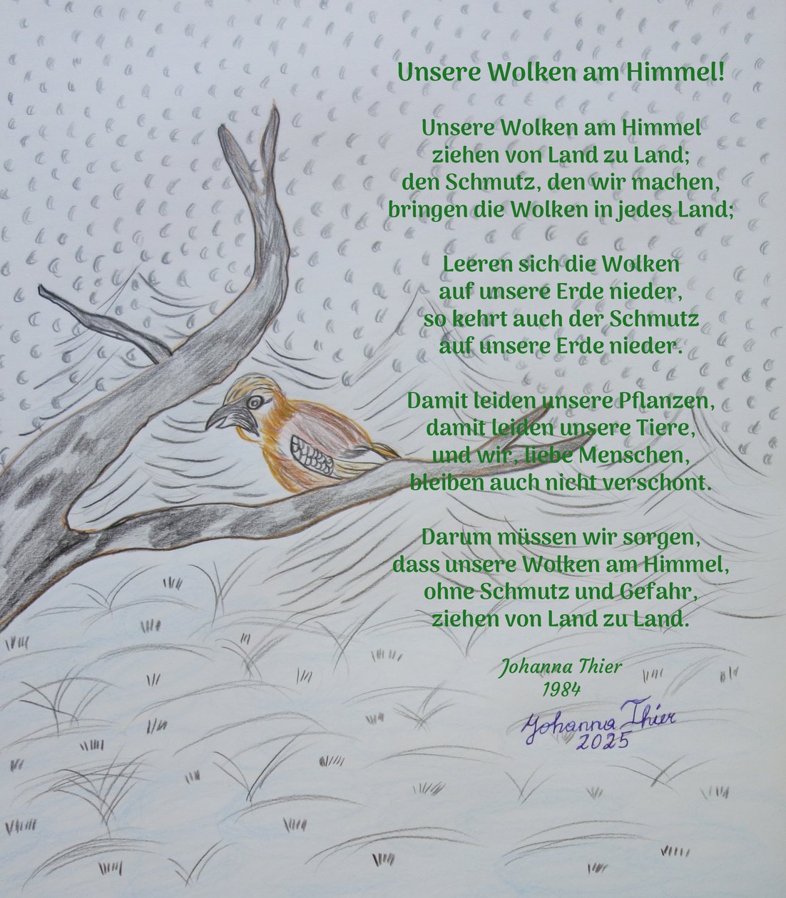 Onze wolken in de lucht door Johanna Thier