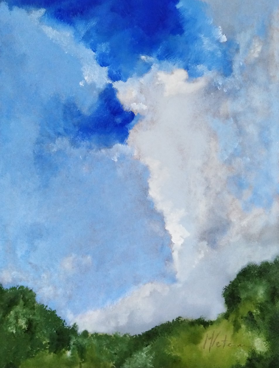 Heg en wolken door M. Vet