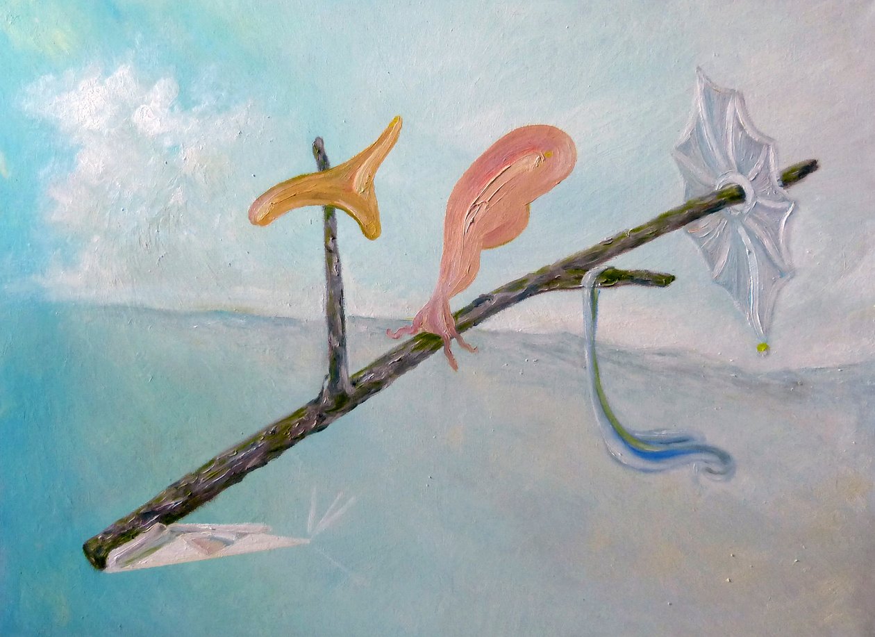 Mijn surrealisme door Elzbieta Goszczycka