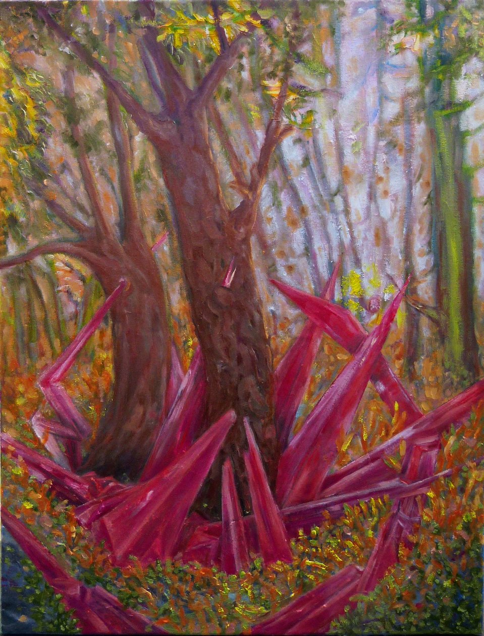 Ruby door Elzbieta Goszczycka