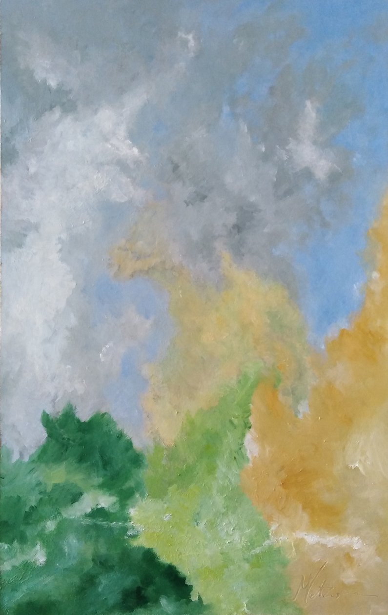 Studie haag en wolken door M. Vet