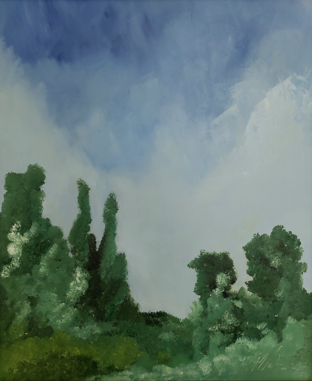 Wolken boven het bos door M. Vet