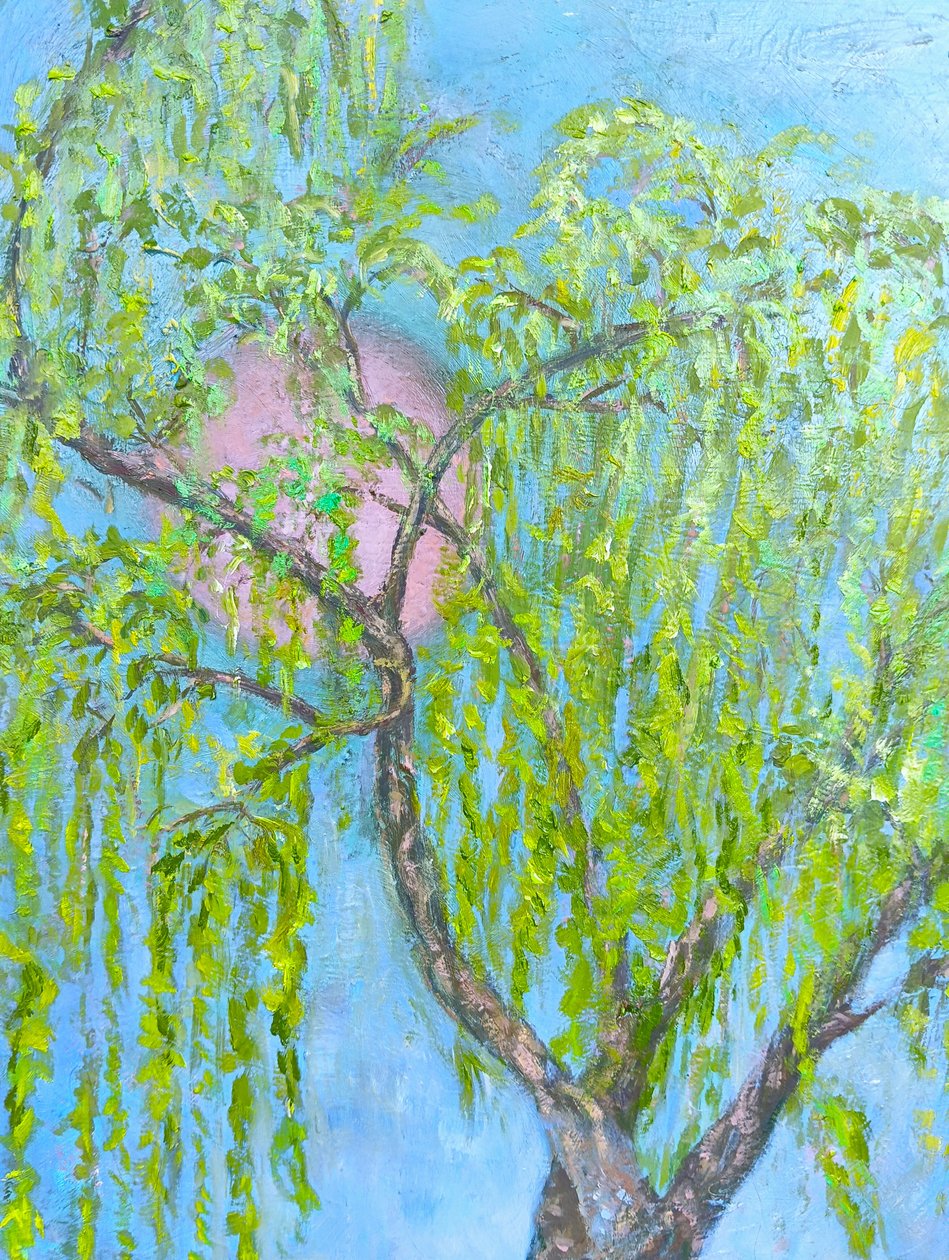 De wilg die niet lacht door Elzbieta Goszczycka