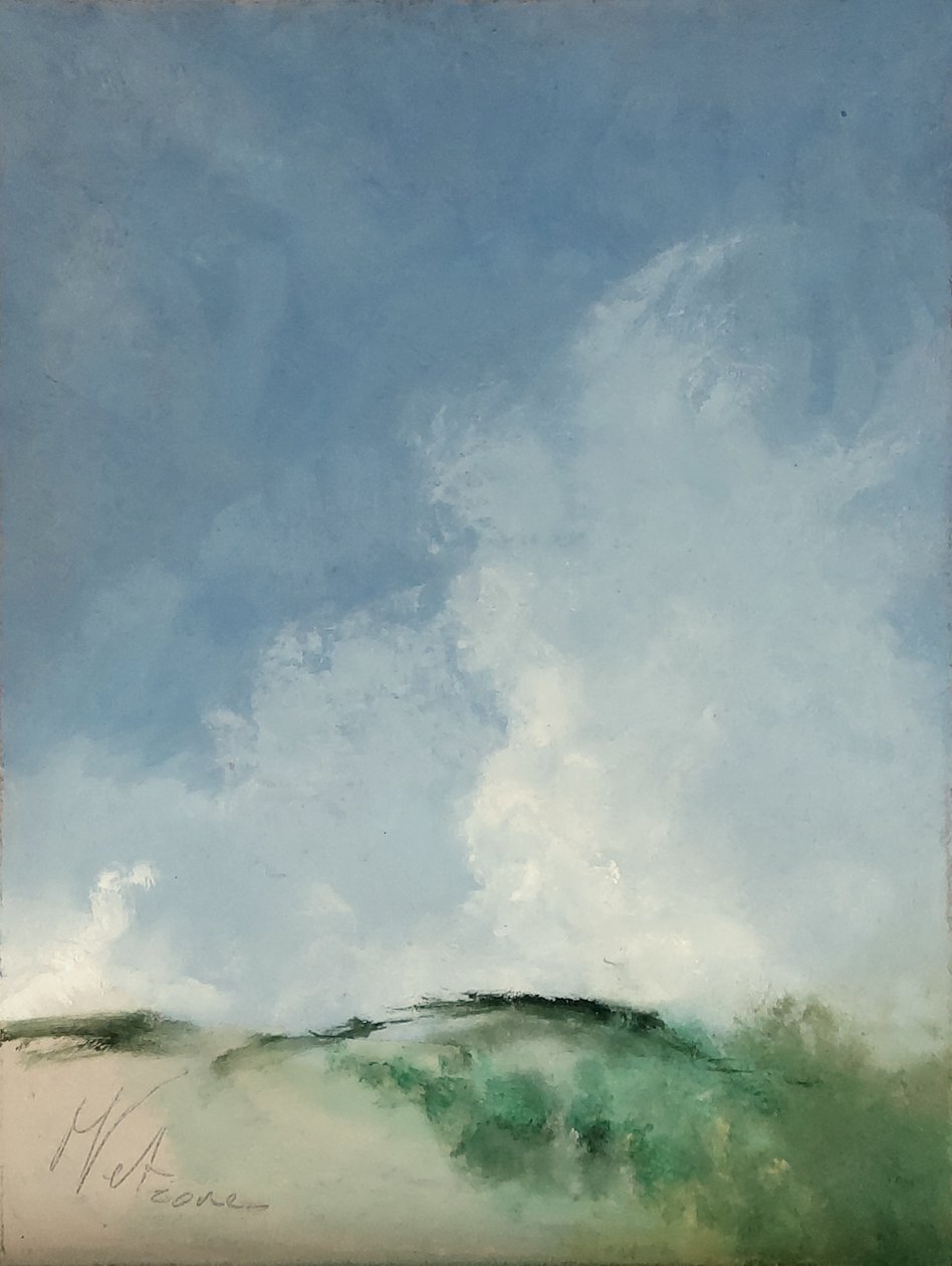 Moerassig gebied door M. Vet