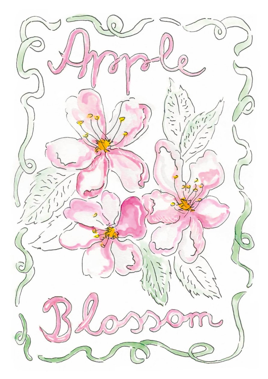 Appelbloesem door june art