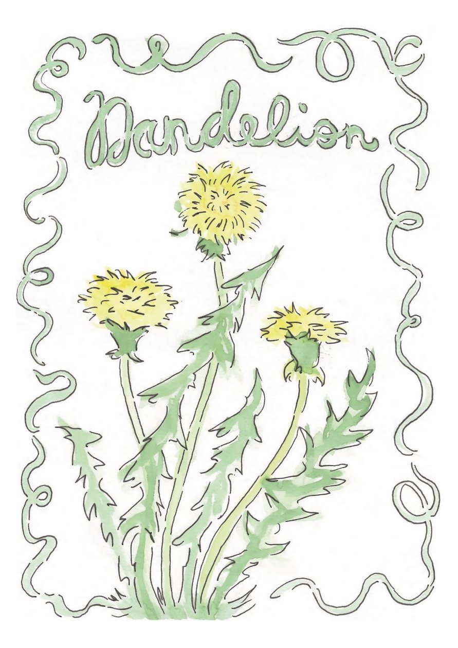Paardenbloem door june art