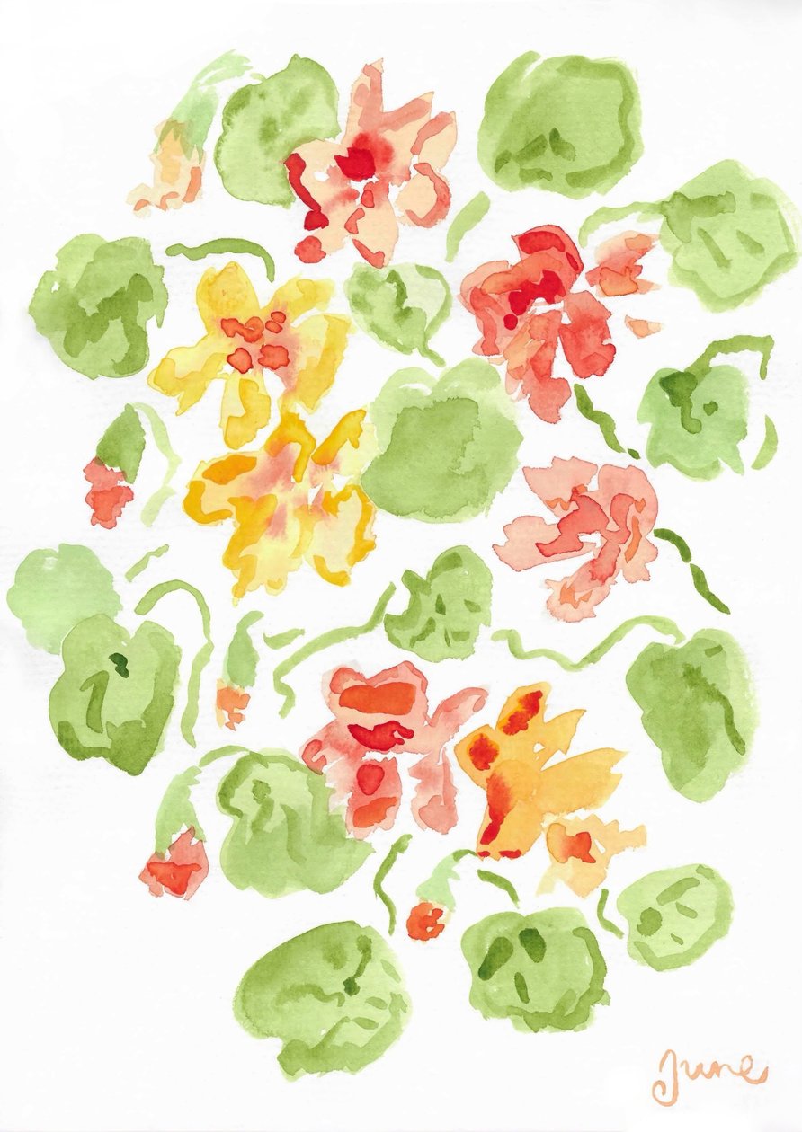 Nasturtiums door june art