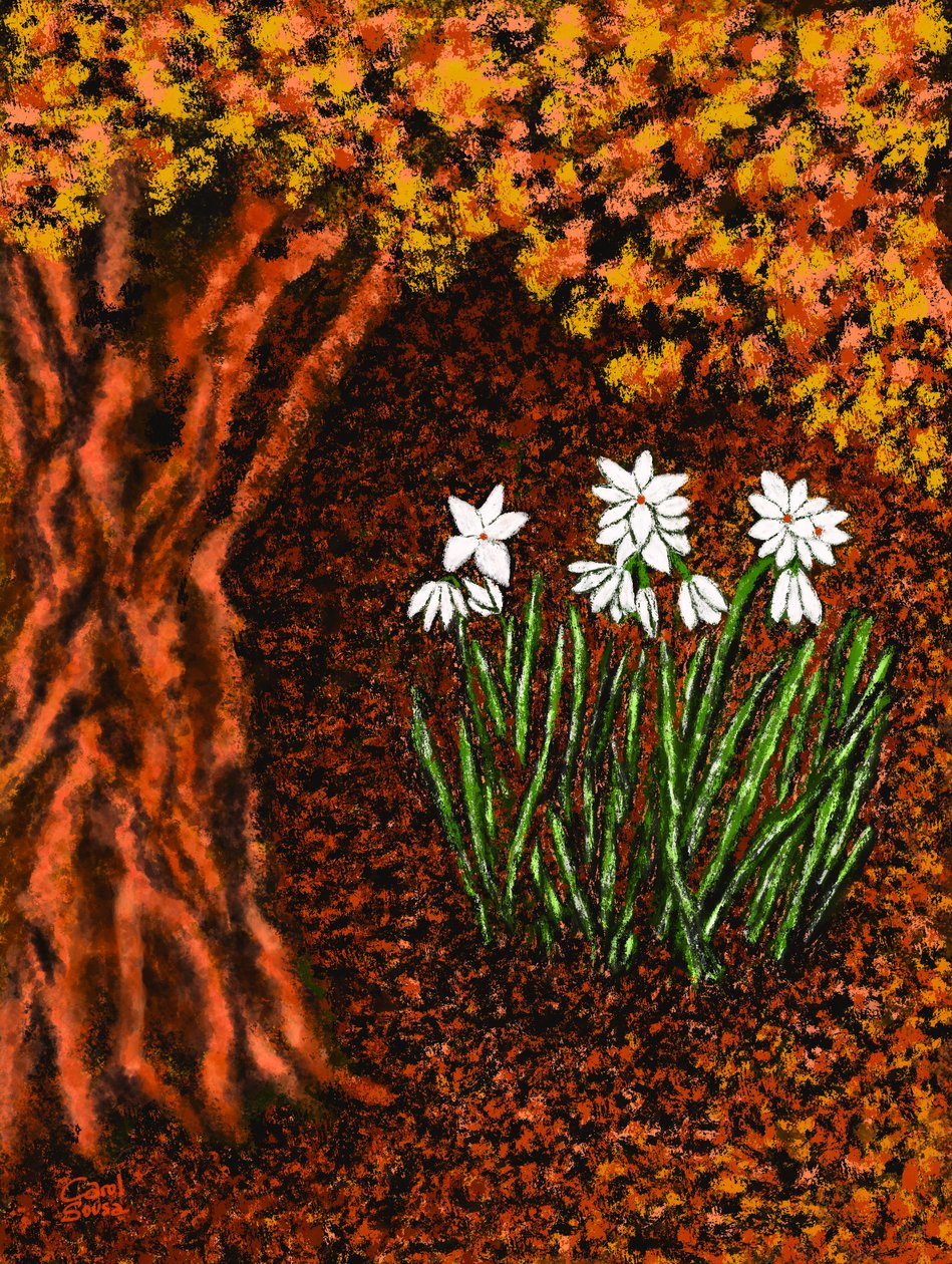 Herbstblumen door Carol Sousa Cuello