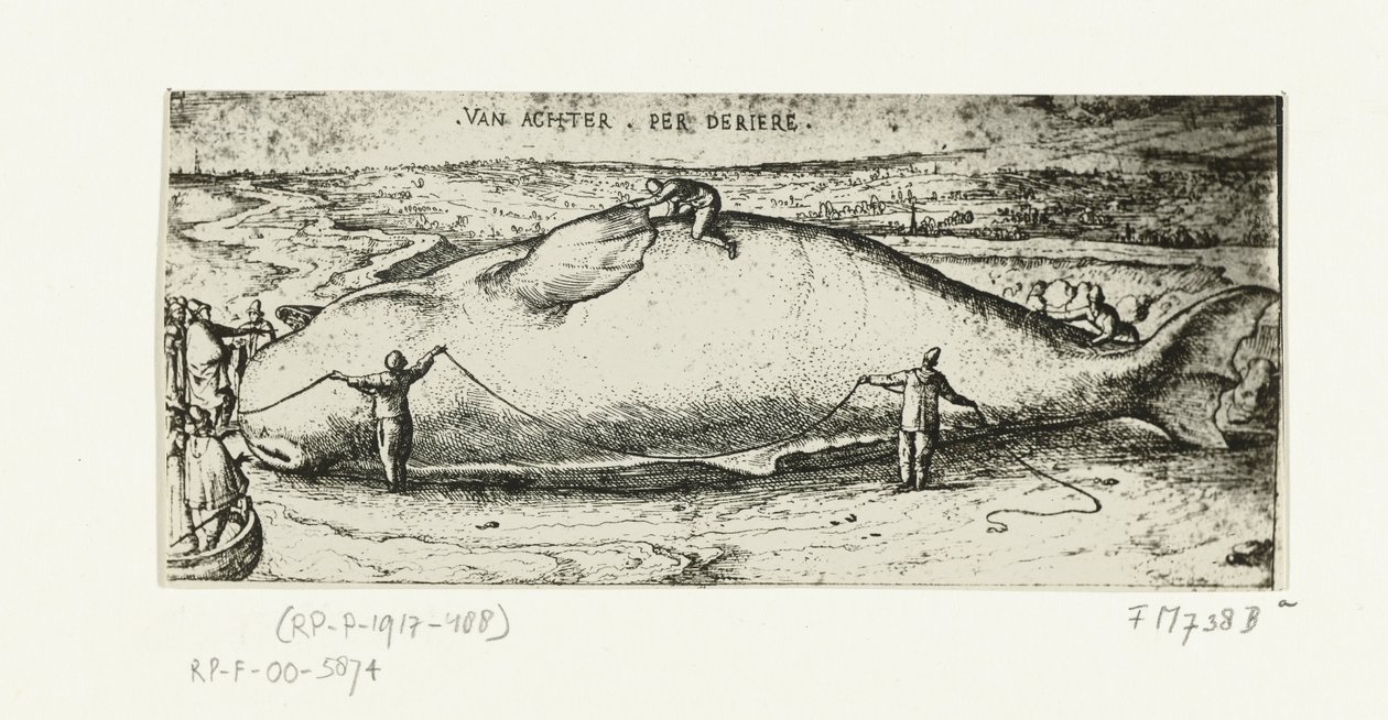Prent van de aangespoelde walvis bij Antwerpen, 2 juli 1577 door A.B. van Deinse