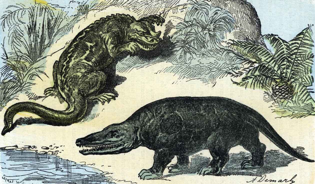 Prehistorie: voorstelling van een iguanodon en megalosaurus uit het Krijt door A. Demarle