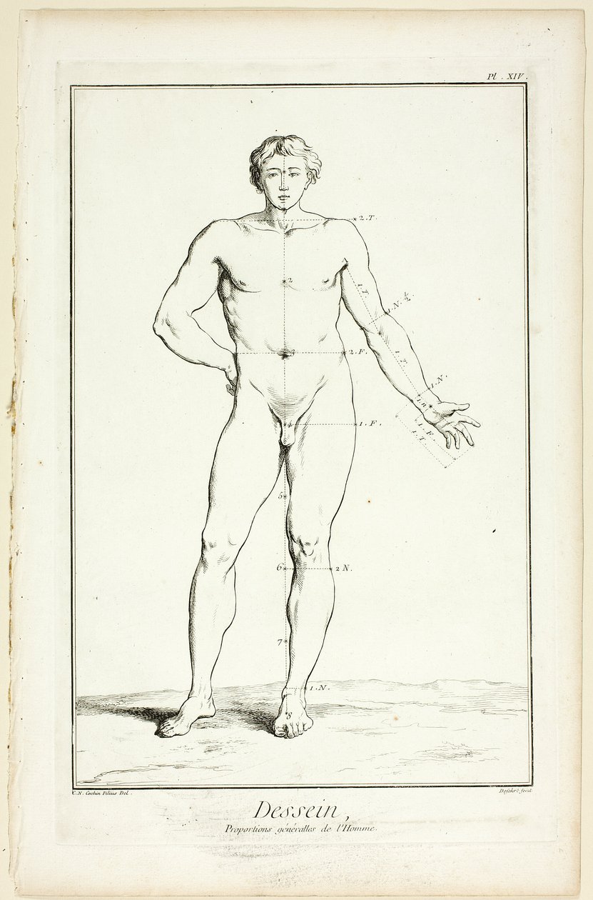 Ontwerp: Algemene Verhoudingen van de Man, uit Encyclopédie door A. J. Defehrt