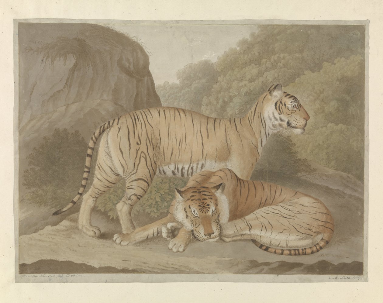 Twee tijgers in een landschap door A. Lutz