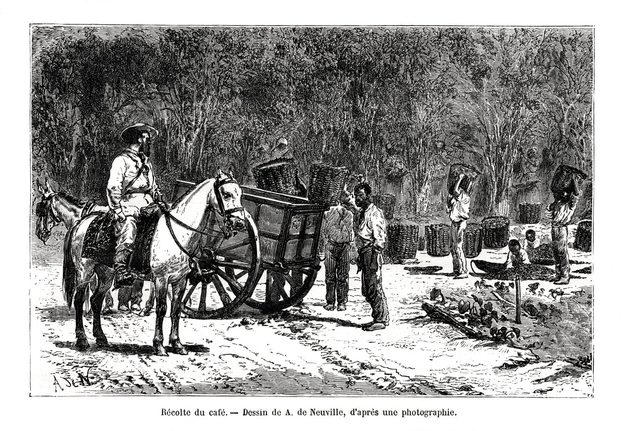 Koffie oogsten, Brazilië, 19e eeuw door A. de Neuville