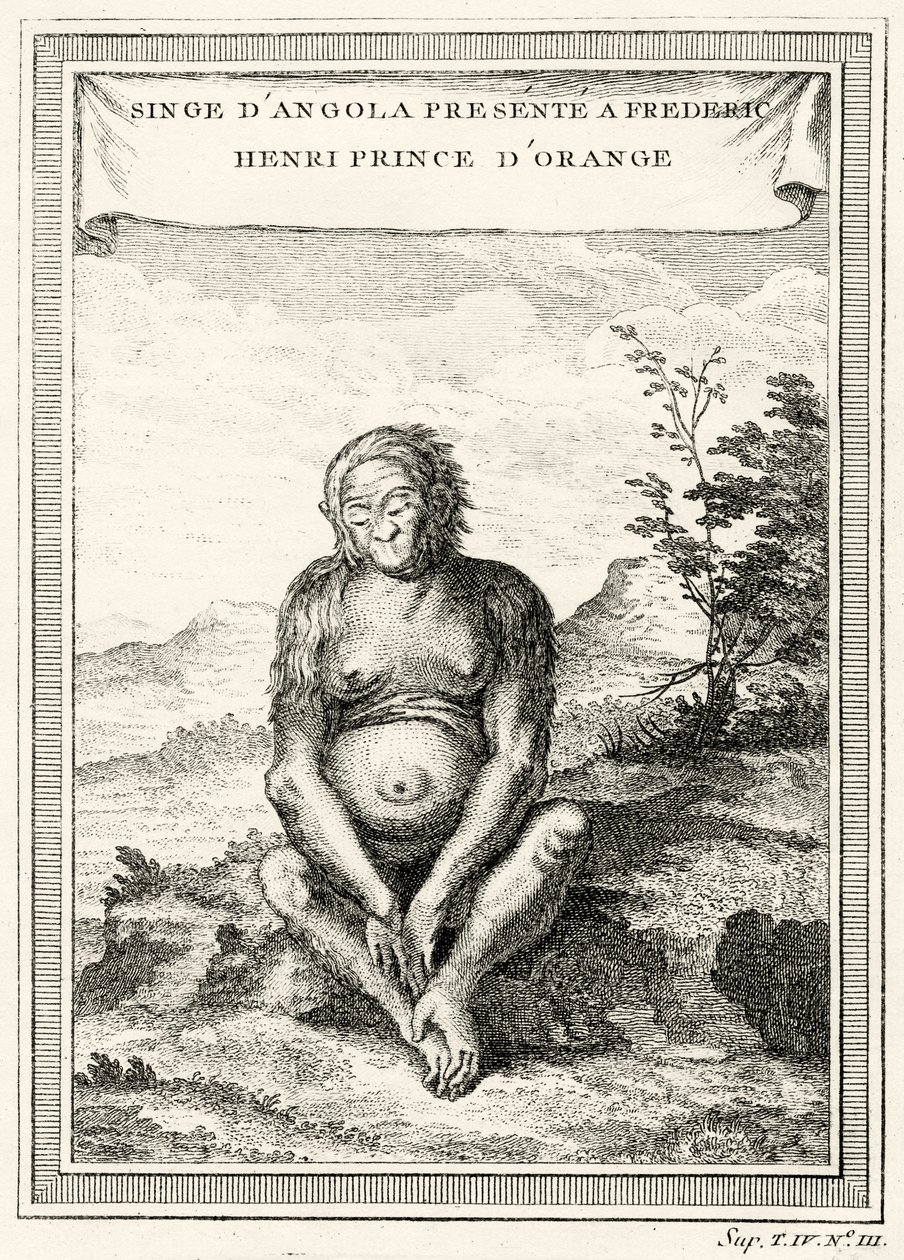 Illustratie van de Orang-Oetang gepresenteerd aan Frederik Hendrik, Prins van Oranje, 1750 door Abbé Prévost