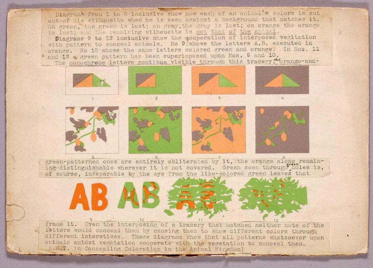 Diagramm und Kupferkopfschlange, Studienmappe für das Buch Concealing Coloration in the Animal Kingdom door Abbott Handerson Thayer